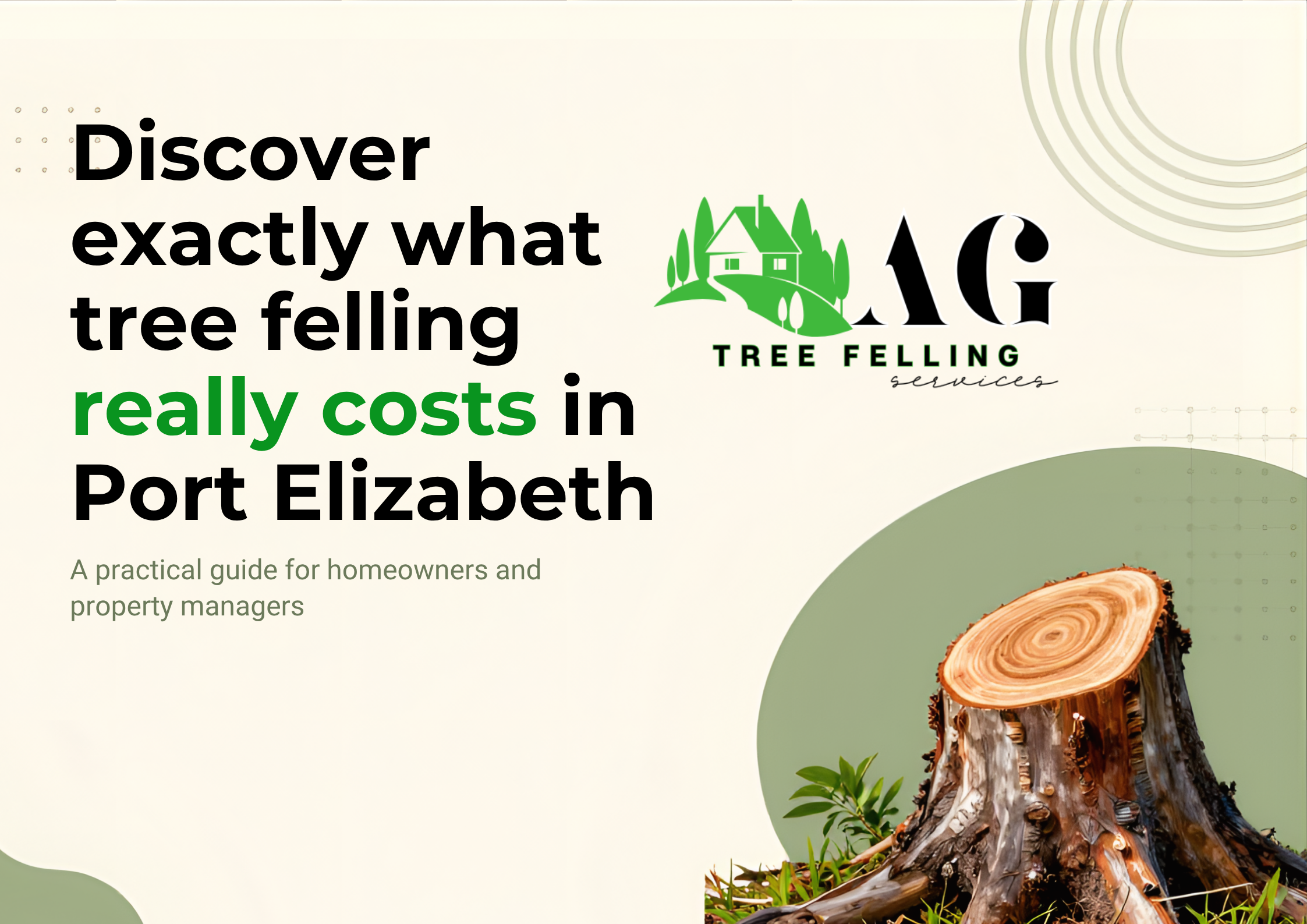Tree Felling Prices in Port Elizabeth – Save More With Professional Removal